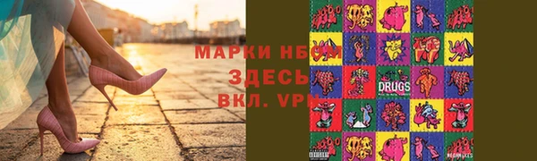 мдпв Бородино