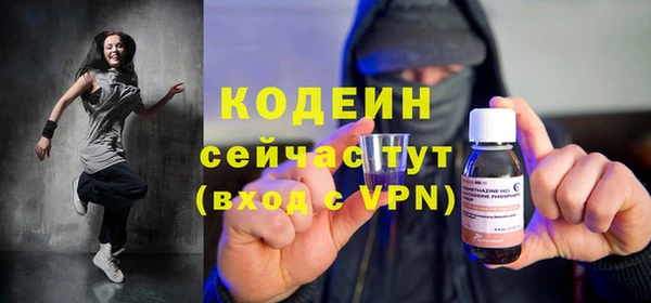 мдпв Бородино