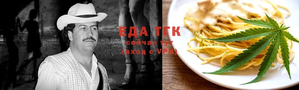 гидра Туринск
