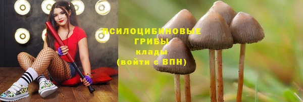 герыч Тобольск