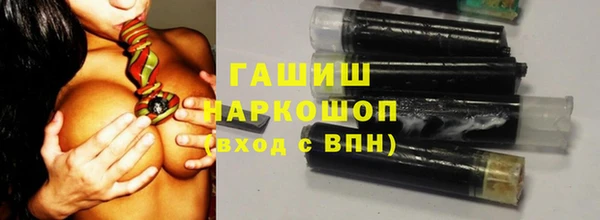 мдпв Бородино