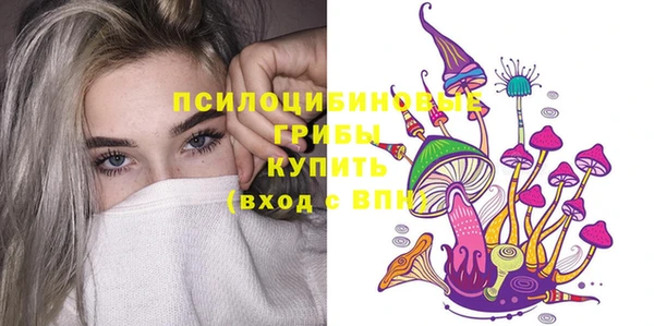 мдпв Бородино