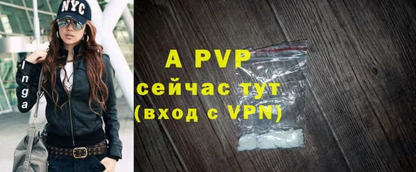 мдпв Бородино